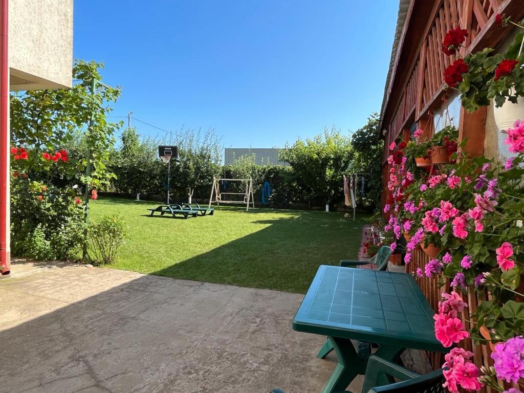 Vila Alexa Costinesti Exterior foto