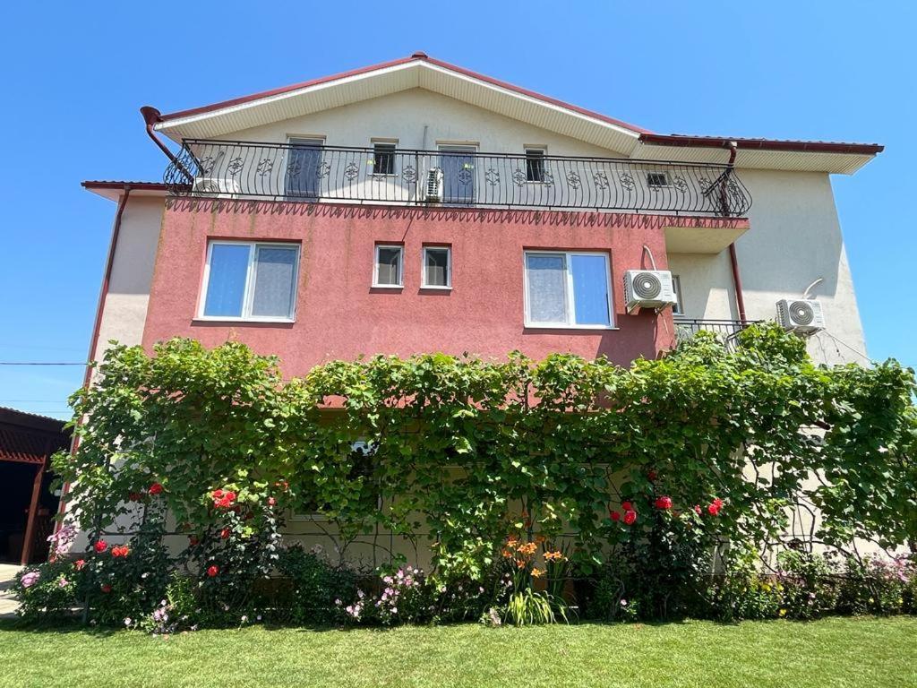 Vila Alexa Costinesti Exterior foto